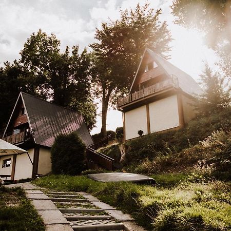 Domki Lord Villa Miedzybrodzie Bialskie Exterior photo