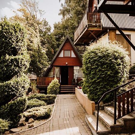 Domki Lord Villa Miedzybrodzie Bialskie Exterior photo